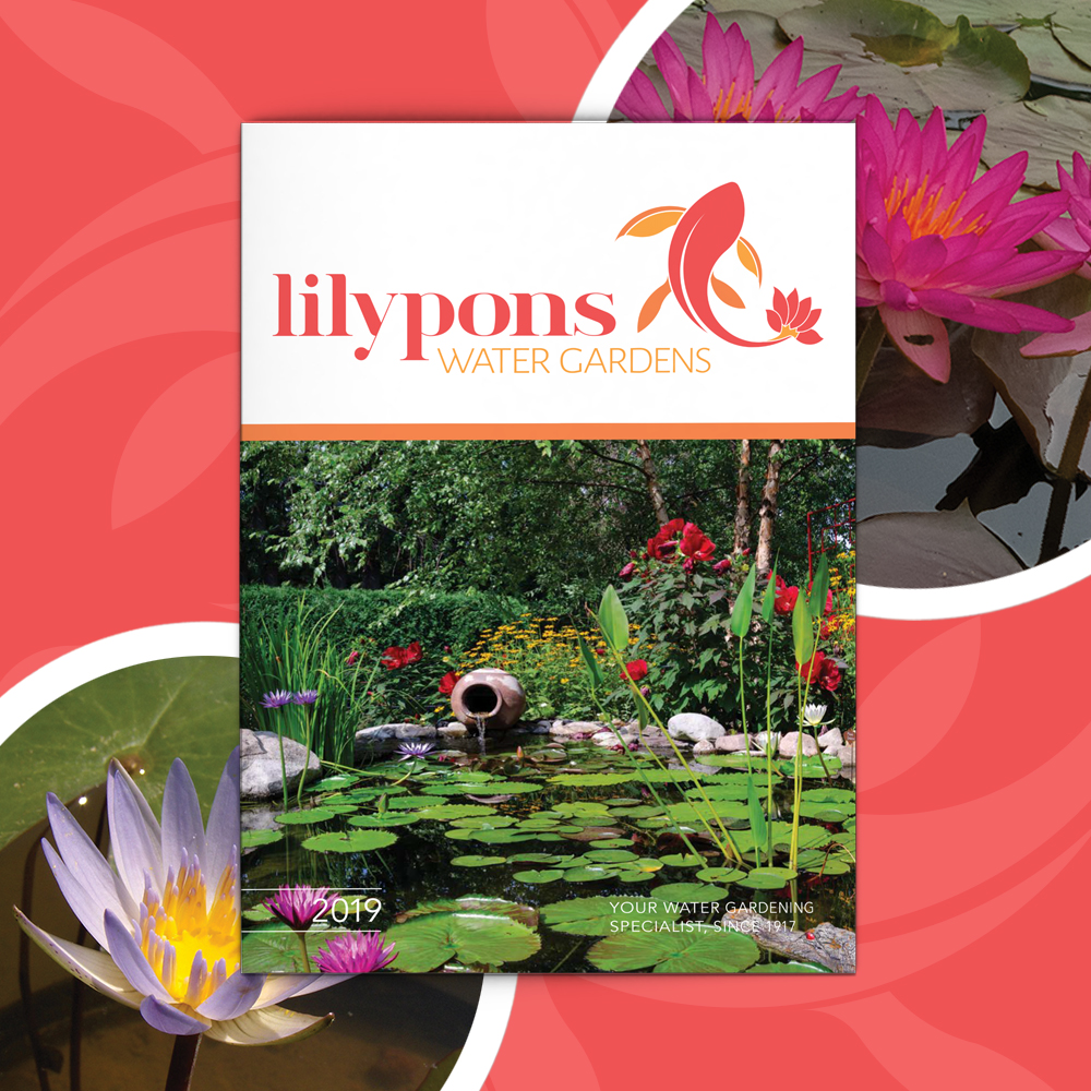 Lilypons Water Gardens 2019 Catalog Postern