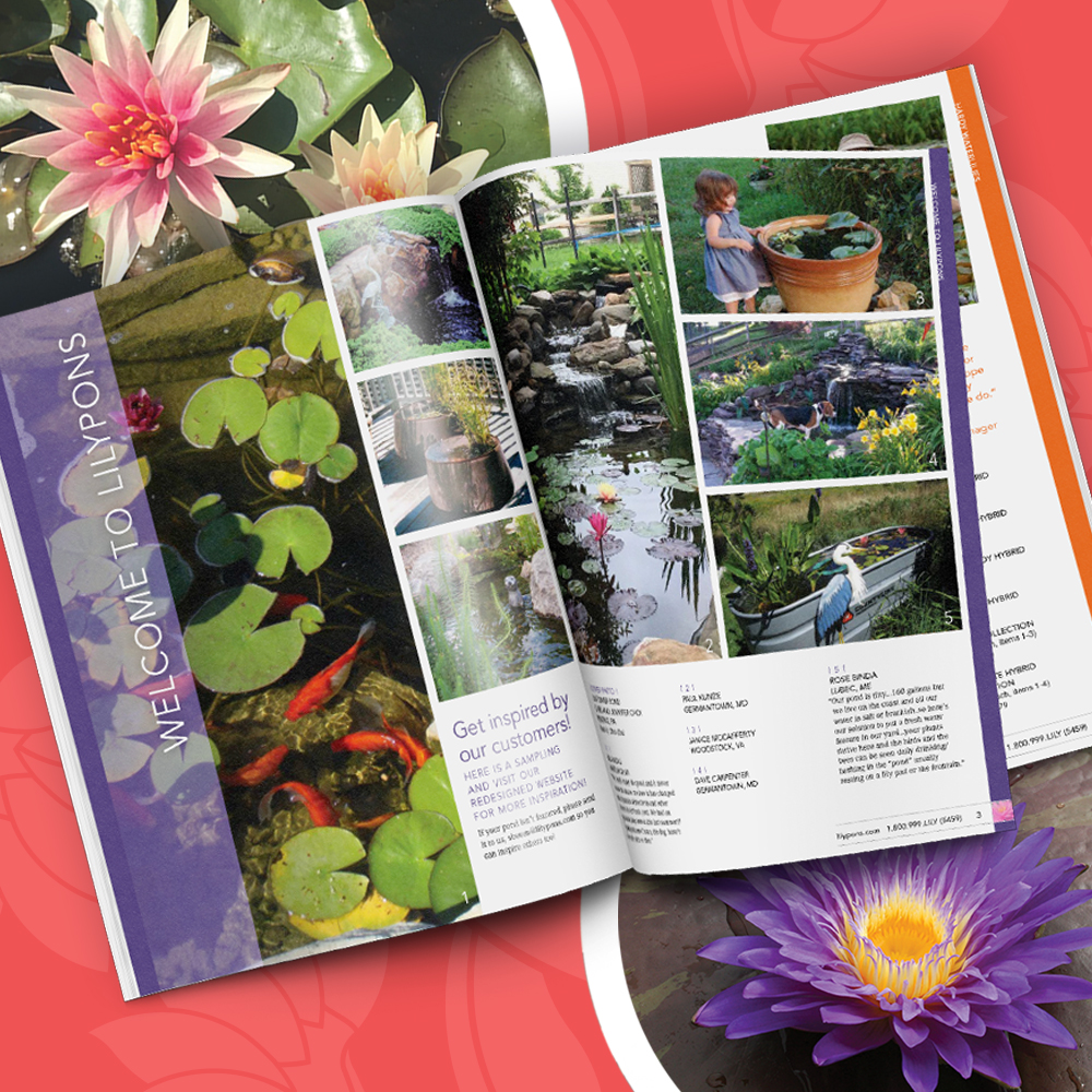 Lilypons Water Gardens 2019 Catalog Postern